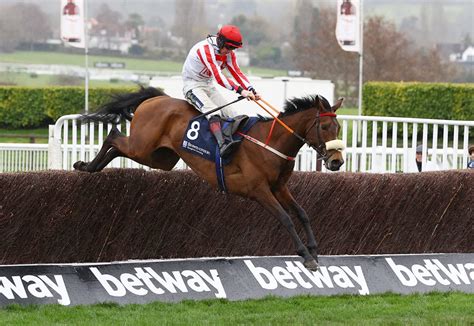 cheltenham festival|cheltenham festival 2023 runners.